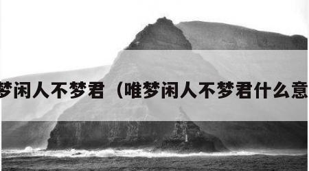 唯梦闲人不梦君（唯梦闲人不梦君什么意思）
