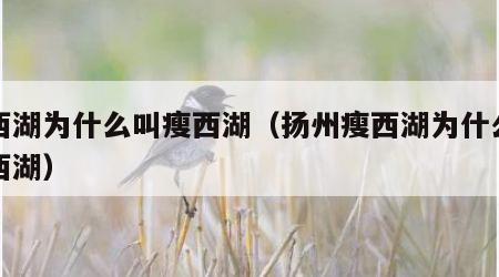 瘦西湖为什么叫瘦西湖（扬州瘦西湖为什么叫瘦西湖）