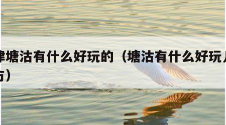 天津塘沽有什么好玩的（塘沽有什么好玩儿的地方）