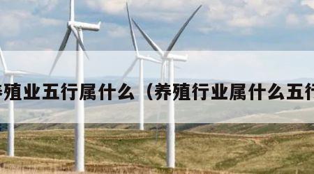 养殖业五行属什么（养殖行业属什么五行）