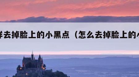 怎样去掉脸上的小黑点（怎么去掉脸上的小黑点）