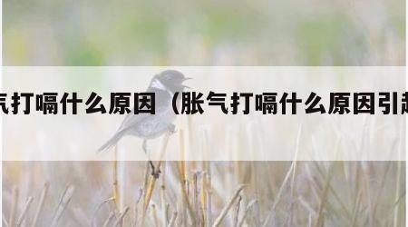 胀气打嗝什么原因（胀气打嗝什么原因引起的）