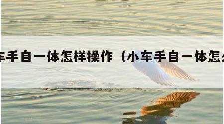 小车手自一体怎样操作（小车手自一体怎么用）