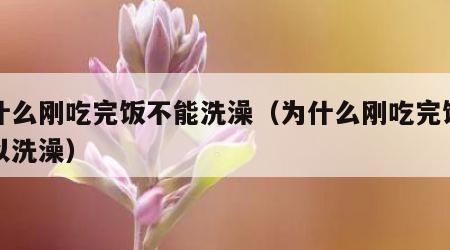 为什么刚吃完饭不能洗澡（为什么刚吃完饭不可以洗澡）
