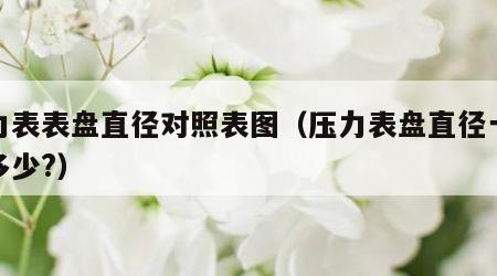 压力表表盘直径对照表图（压力表盘直径一般是多少?）