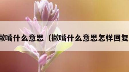 撇嘴什么意思（撇嘴什么意思怎样回复）