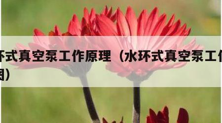 水环式真空泵工作原理（水环式真空泵工作原理图）