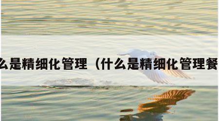 什么是精细化管理（什么是精细化管理餐饮）