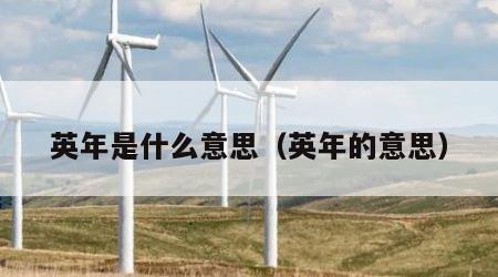 英年是什么意思（英年的意思）
