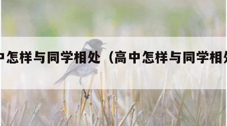 高中怎样与同学相处（高中怎样与同学相处作文）