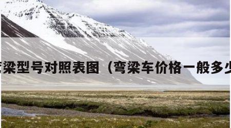 弯梁型号对照表图（弯梁车价格一般多少）
