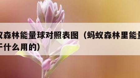 蚂蚁森林能量球对照表图（蚂蚁森林里能量球是干什么用的）