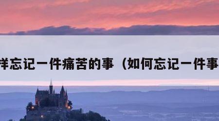 怎样忘记一件痛苦的事（如何忘记一件事儿）
