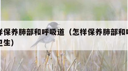 怎样保养肺部和呼吸道（怎样保养肺部和呼吸道卫生）
