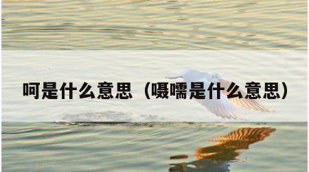 呵是什么意思（嗫嚅是什么意思）