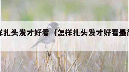 怎样扎头发才好看（怎样扎头发才好看最简单）