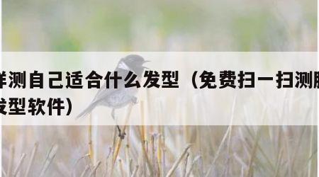 怎样测自己适合什么发型（免费扫一扫测脸型配发型软件）