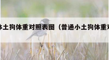 小体土狗体重对照表图（普通小土狗体重对照表）