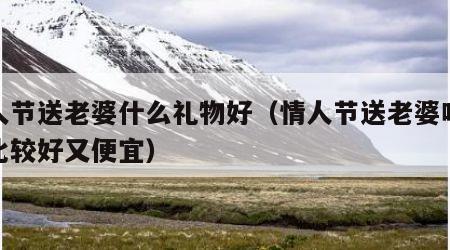 情人节送老婆什么礼物好（情人节送老婆啥礼物比较好又便宜）