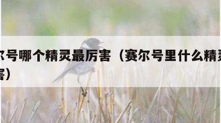 赛尔号哪个精灵最厉害（赛尔号里什么精灵最厉害）