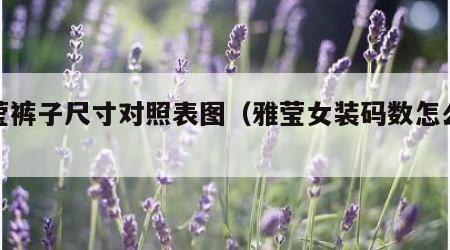 雅莹裤子尺寸对照表图（雅莹女装码数怎么选）