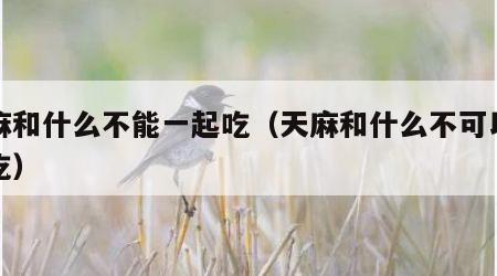 天麻和什么不能一起吃（天麻和什么不可以一起吃）