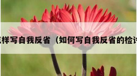 怎样写自我反省（如何写自我反省的检讨）