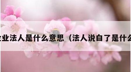 企业法人是什么意思（法人说白了是什么）