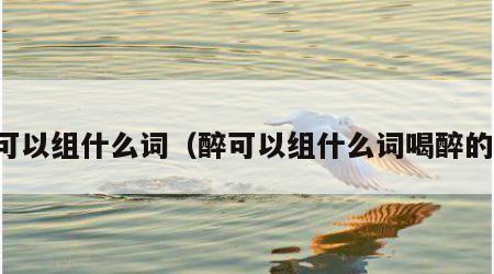 醉可以组什么词（醉可以组什么词喝醉的醉）