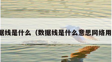 数据线是什么（数据线是什么意思网络用语）