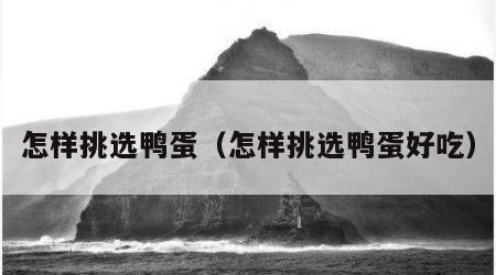 怎样挑选鸭蛋（怎样挑选鸭蛋好吃）