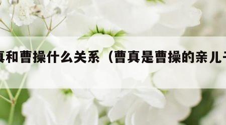 曹真和曹操什么关系（曹真是曹操的亲儿子吗）