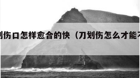 刀划伤口怎样愈合的快（刀划伤怎么才能不留疤）