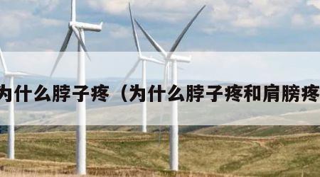 为什么脖子疼（为什么脖子疼和肩膀疼）