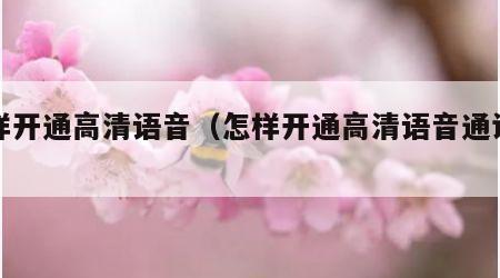 怎样开通高清语音（怎样开通高清语音通话功能）