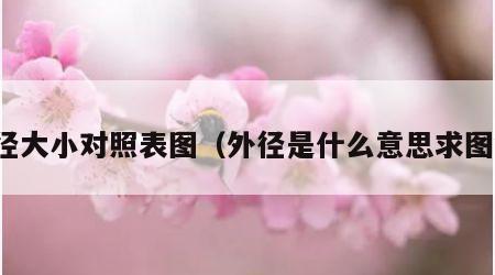 外径大小对照表图（外径是什么意思求图解）