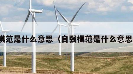 模范是什么意思（自强模范是什么意思）