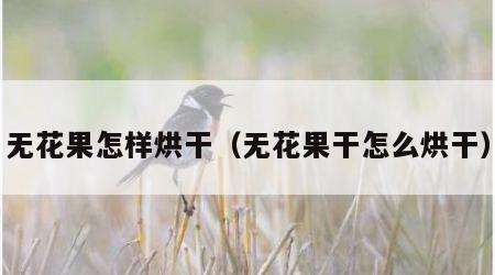 无花果怎样烘干（无花果干怎么烘干）