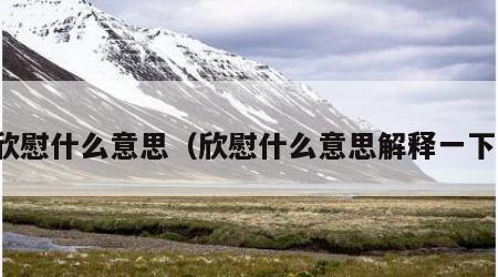 欣慰什么意思（欣慰什么意思解释一下）