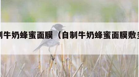 自制牛奶蜂蜜面膜（自制牛奶蜂蜜面膜敷多久）