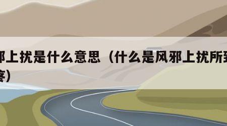 风邪上扰是什么意思（什么是风邪上扰所致的头疼）