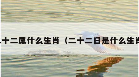 二十二属什么生肖（二十二日是什么生肖）
