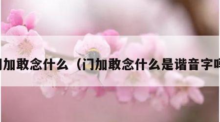 门加敢念什么（门加敢念什么是谐音字吗）