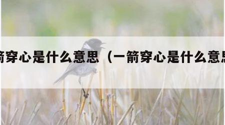 一箭穿心是什么意思（一箭穿心是什么意思解释）