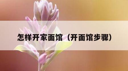 怎样开家面馆（开面馆步骤）