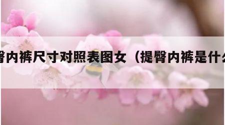 提臀内裤尺寸对照表图女（提臀内裤是什么样的）