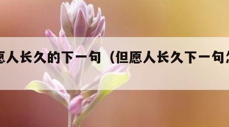 但愿人长久的下一句（但愿人长久下一句怎么说）