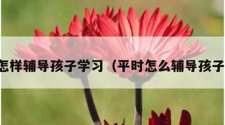 怎样辅导孩子学习（平时怎么辅导孩子）
