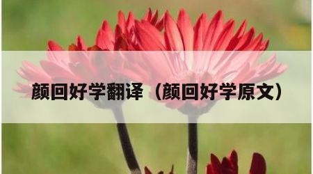 颜回好学翻译（颜回好学原文）