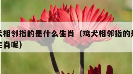 鸡犬相邻指的是什么生肖（鸡犬相邻指的是什么生肖呢）